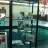 sportsdays - storia del tamburello